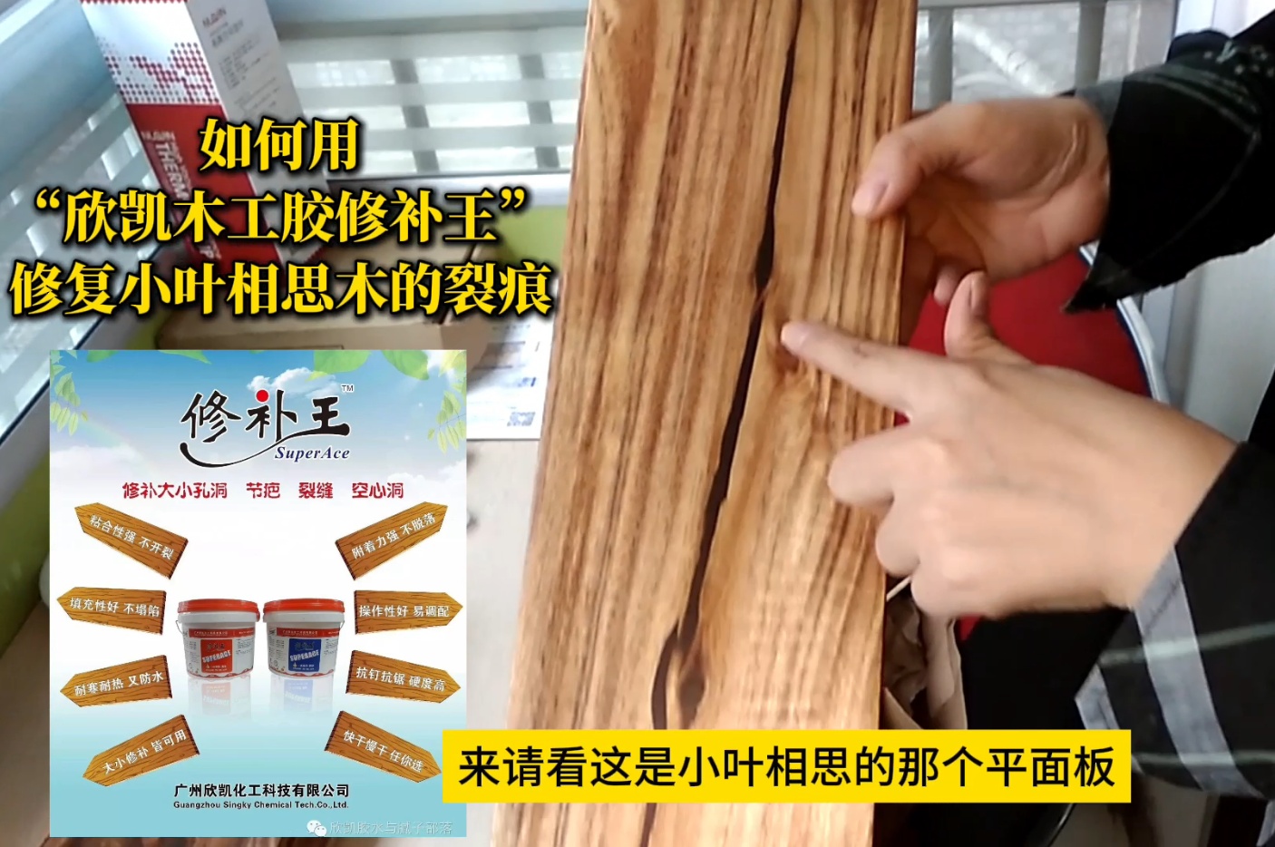 如何用“欣凱木工膠修補王”，修復小葉相思木的裂痕？